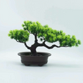Artificial Bonsai Tree in Decorative Pot